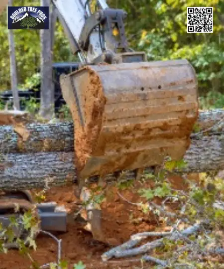tree-removal-service
