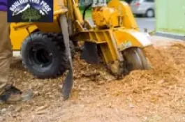 stump-grinding